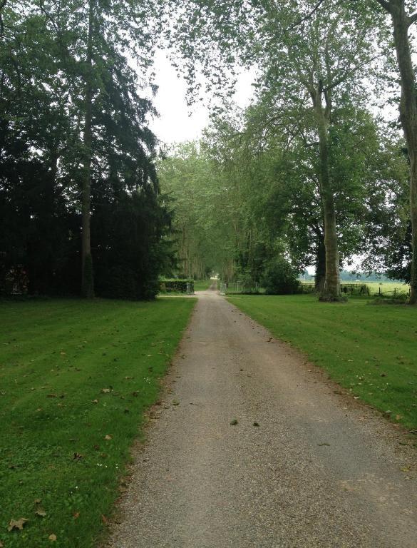 Chateau De Villars Villeneuve-sur-Allier Exterior foto